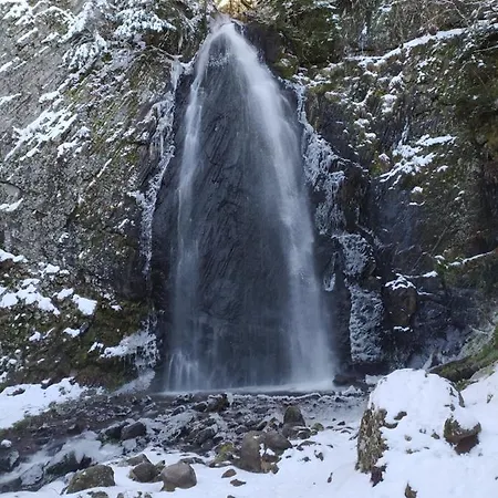 Les Marmottes Du Sancy Apartamento *